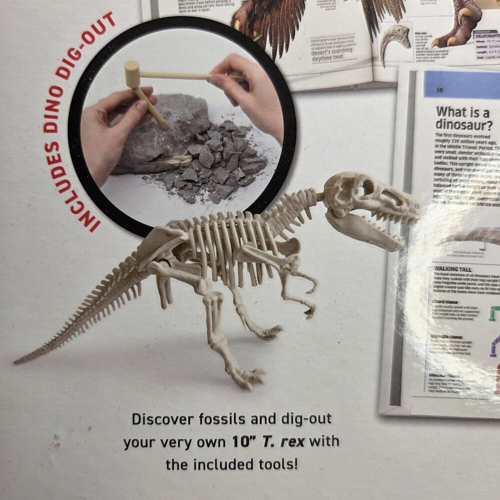 New Abacus Illustrated Interactive VR Learning Activity Set Assorted Dinosaurs - Picture 7 of 11